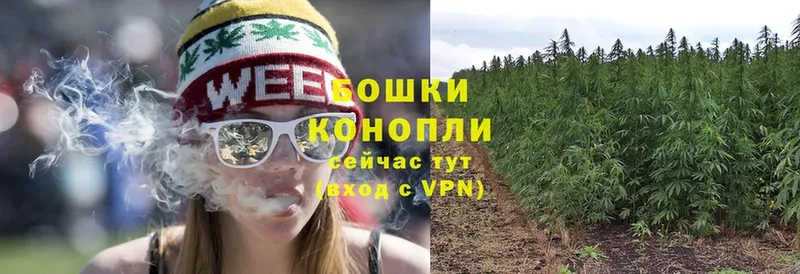 Шишки марихуана OG Kush  как найти наркотики  Велиж 